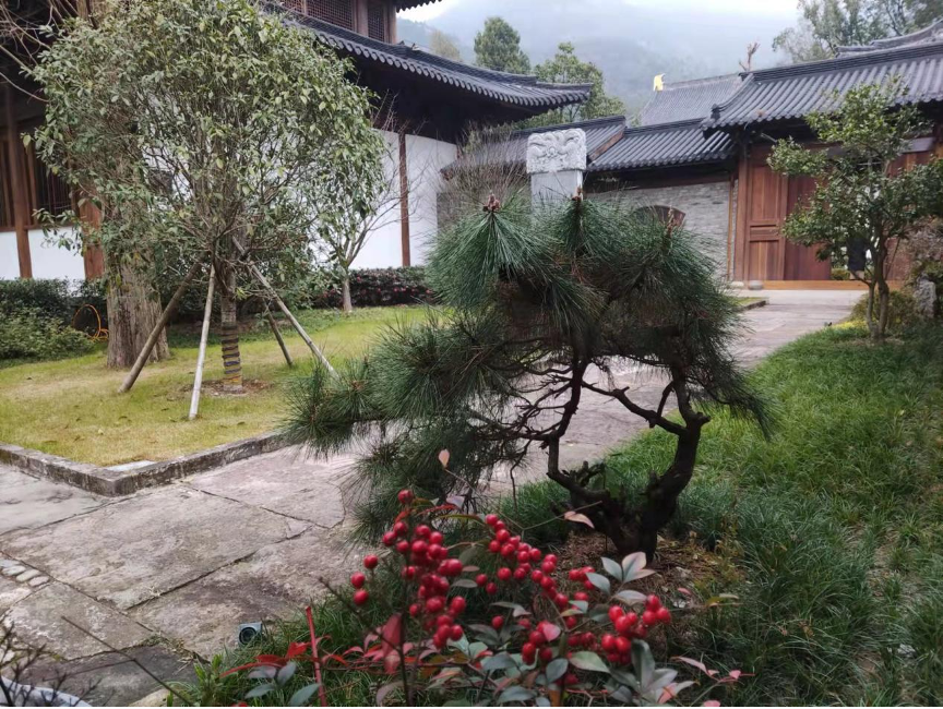 又見梅花开(图6) 1.png