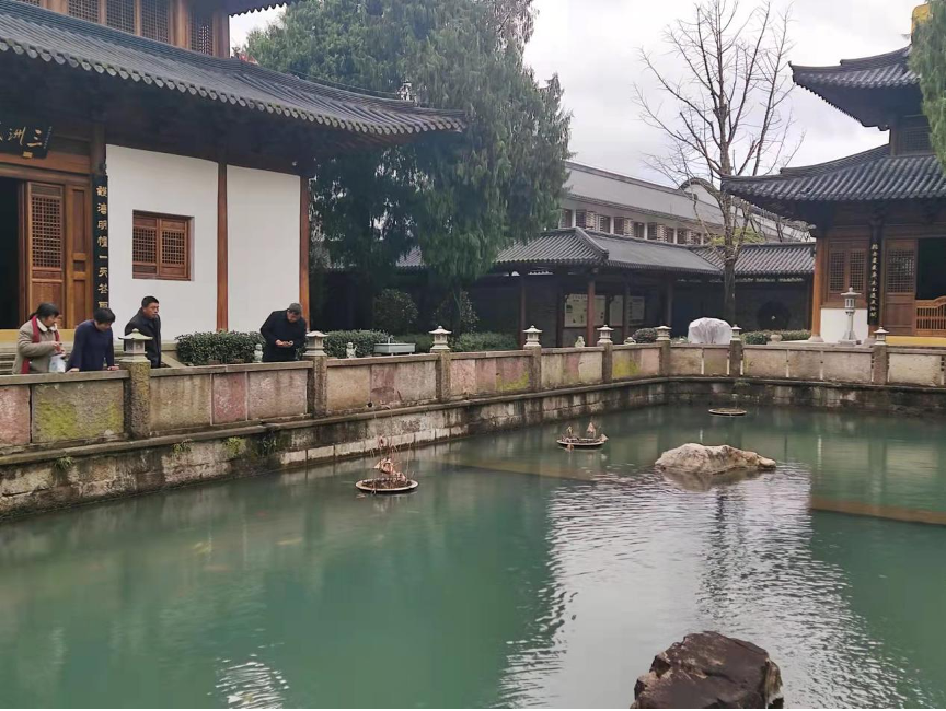 梅的世界 春的禅意(图5) 1.png