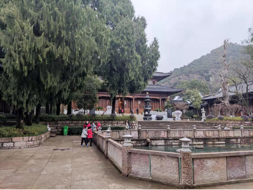 梅的世界 春的禅意(图3) 1.png