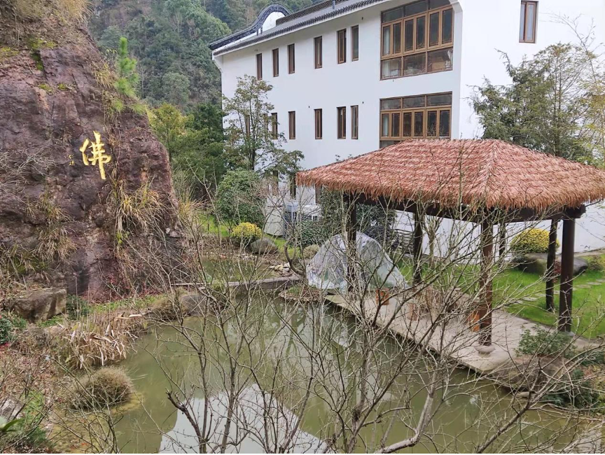 梅的世界 春的禅意(图9) 1.png