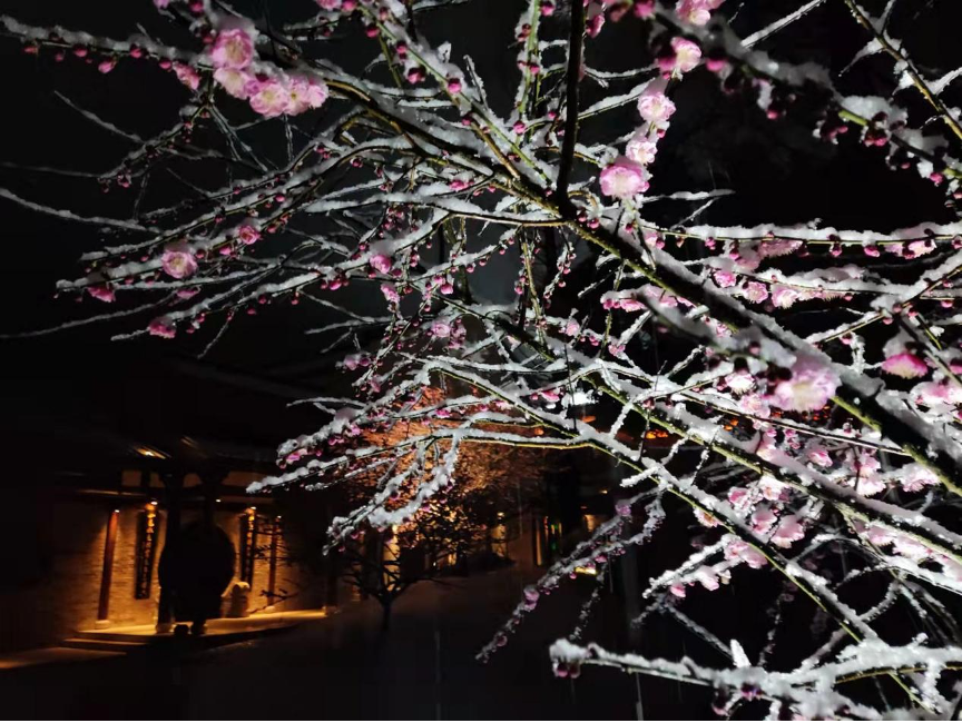 瑞雪飘入古山寺(图8) 8.png