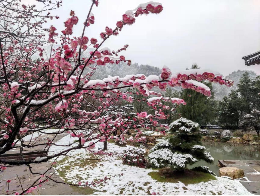 瑞雪飘入古山寺(图5) 5.png