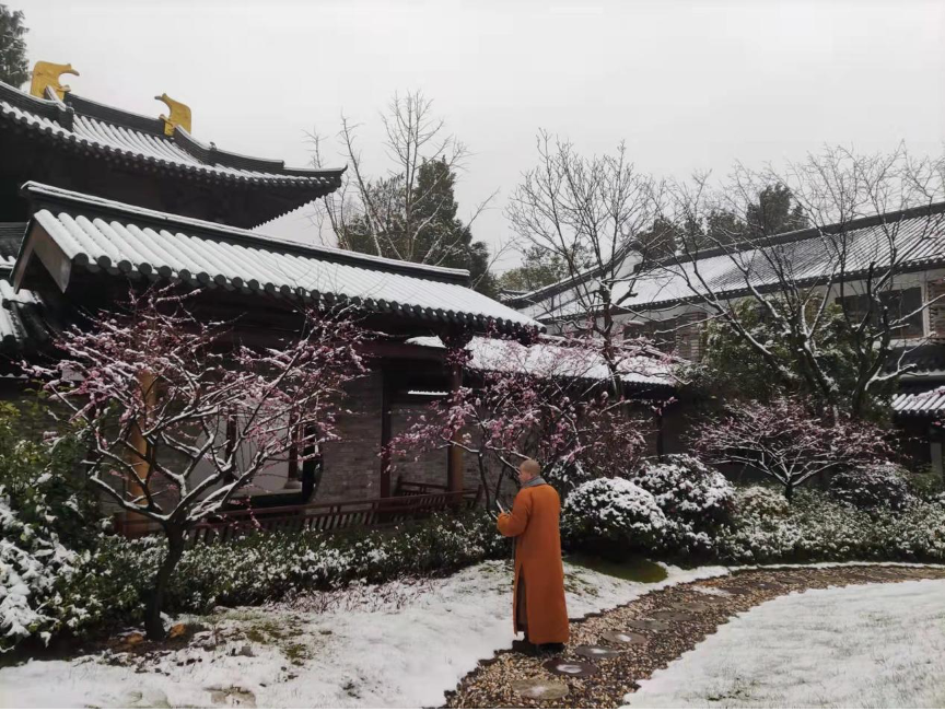 瑞雪飘入古山寺(图2) 2.png