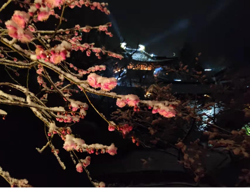瑞雪飘入古山寺(图7) 7.png